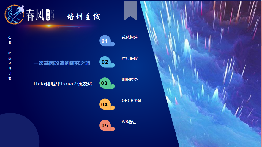 【春風(fēng)學(xué)院】2023年全國生物醫(yī)學(xué)分子細胞實驗技術(shù)特訓(xùn)營開班！為期5天