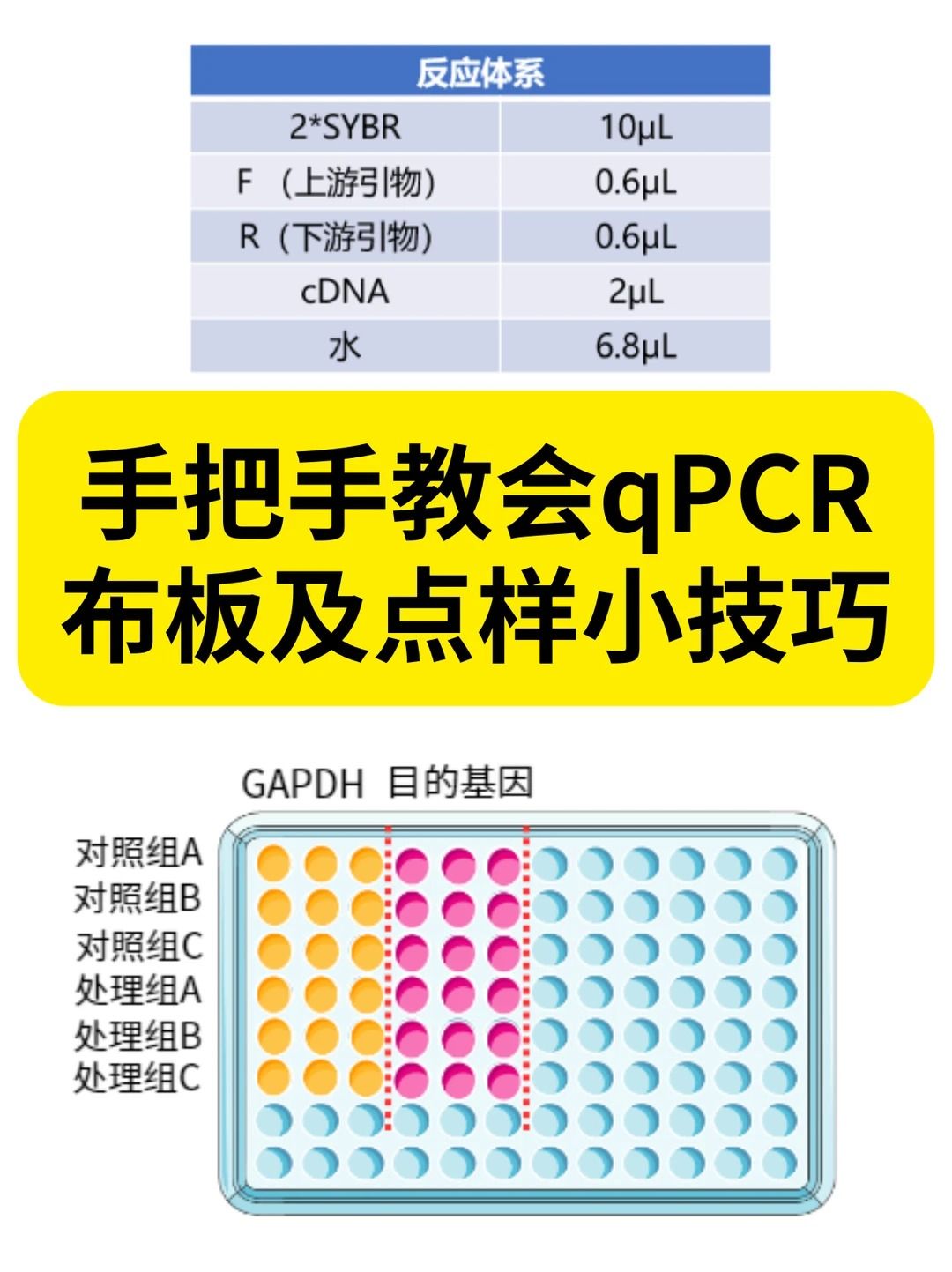 qPCR 點樣秘籍&mdash;降低孔間誤差